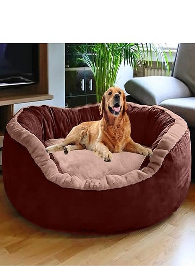 DRILLY Grade A++ Fur 4XL (Length=125* Width=95* Height=20 cm) Dog Bed for Golden Retriever Washable-Orthopedic Breed | Giant Human Dog Bed (4XL) - Image 1